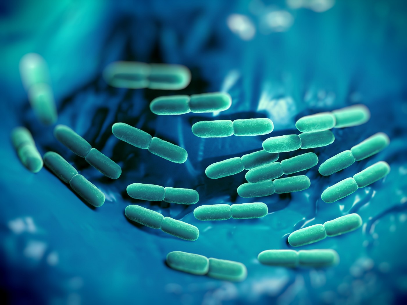 Probiotics Improve Behavioral Symptoms of Chronic Inflammatory Conditions, Including RA