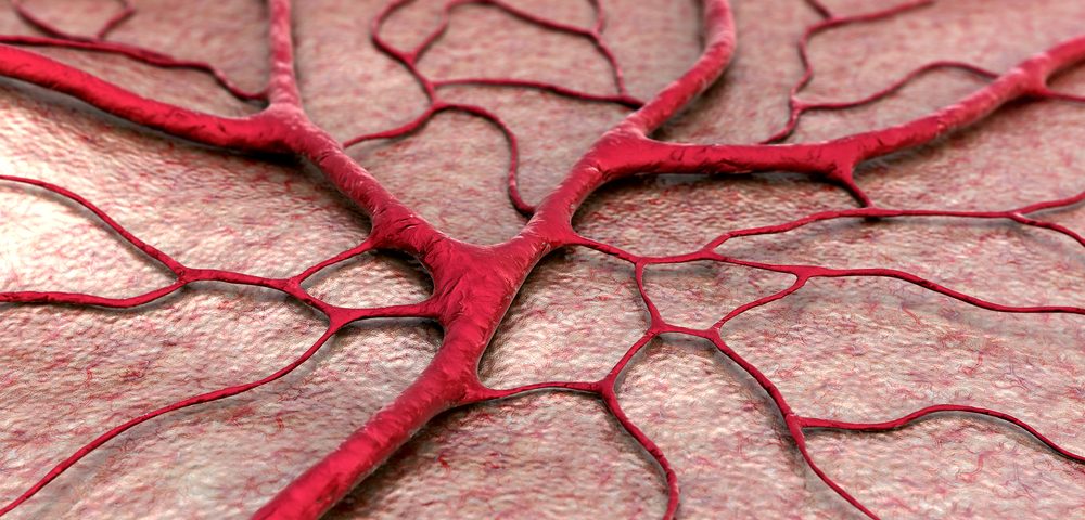 $1.1M Grant Awarded to Study Effects of Aging on New Blood Vessels; May Help Guide Future RA Therapies